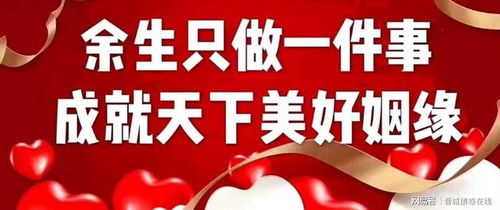 晉城婚戀新風尚 初心如“香水百合”，專業婚介成就美滿姻緣
